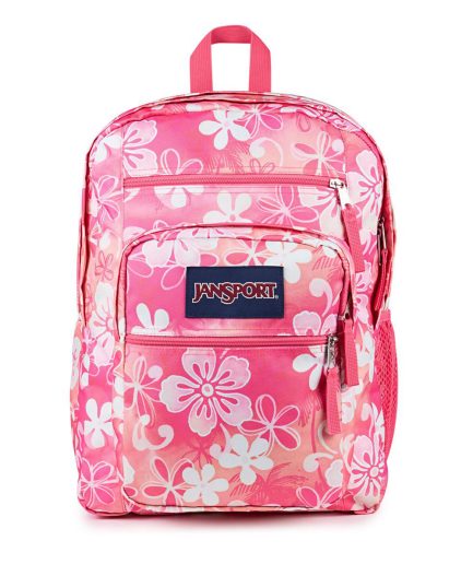 Big Student Zainos - Rosa